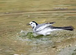 rua口小日童罢的个人空间